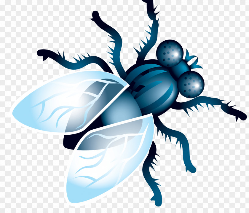 Insect Clip Art Image Desktop Wallpaper PNG