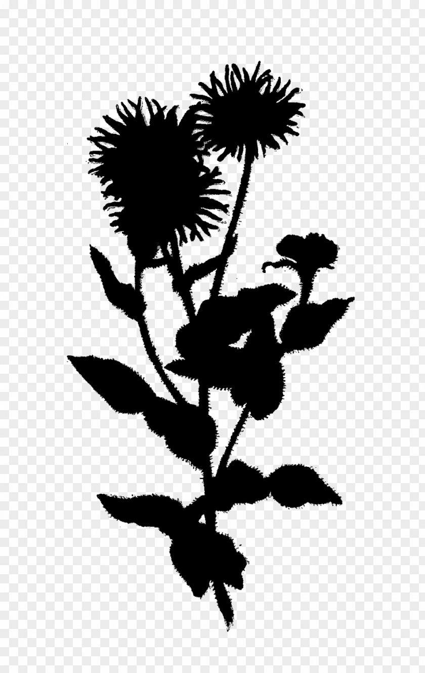 Leaf Plant Stem Silhouette Font Flowering PNG