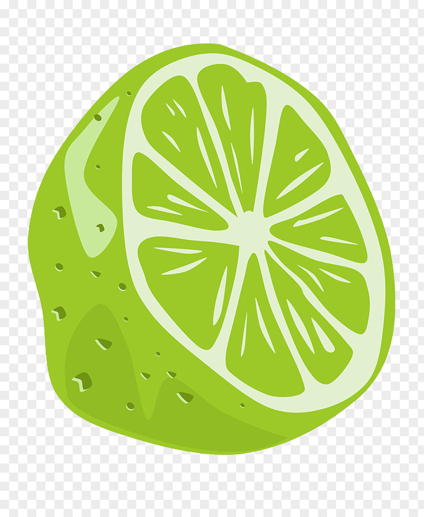 Lime Lemon-lime Drink Clip Art PNG