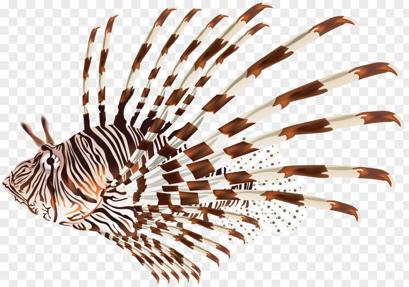 Lionfish Transparent Clip Art Image PNG