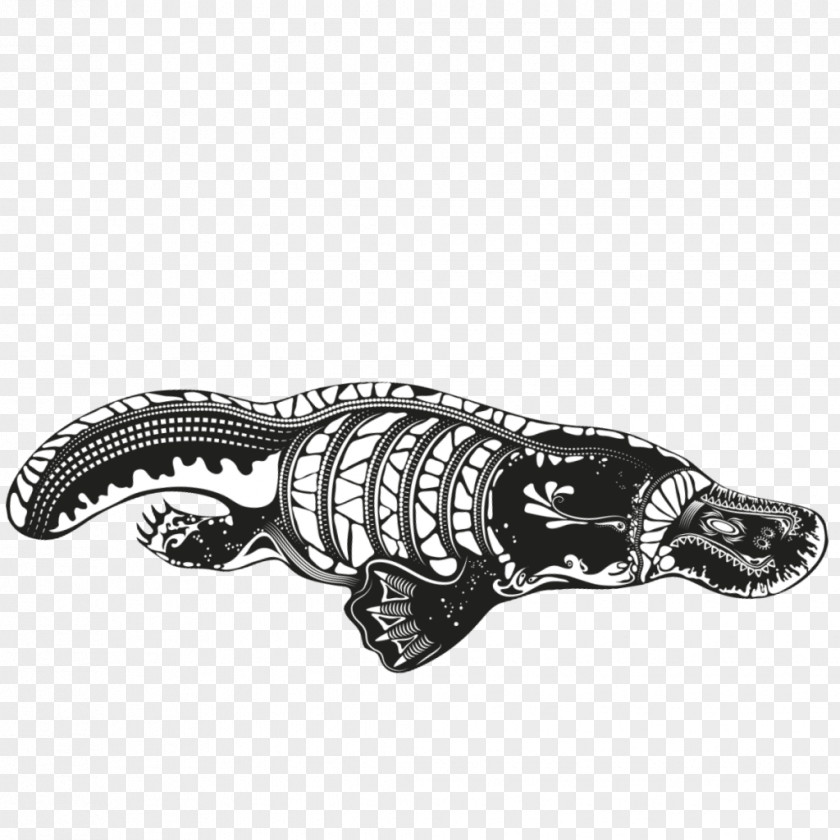 Platypus Tattoo Indigenous Australian Art Australians Drawing Aboriginal PNG