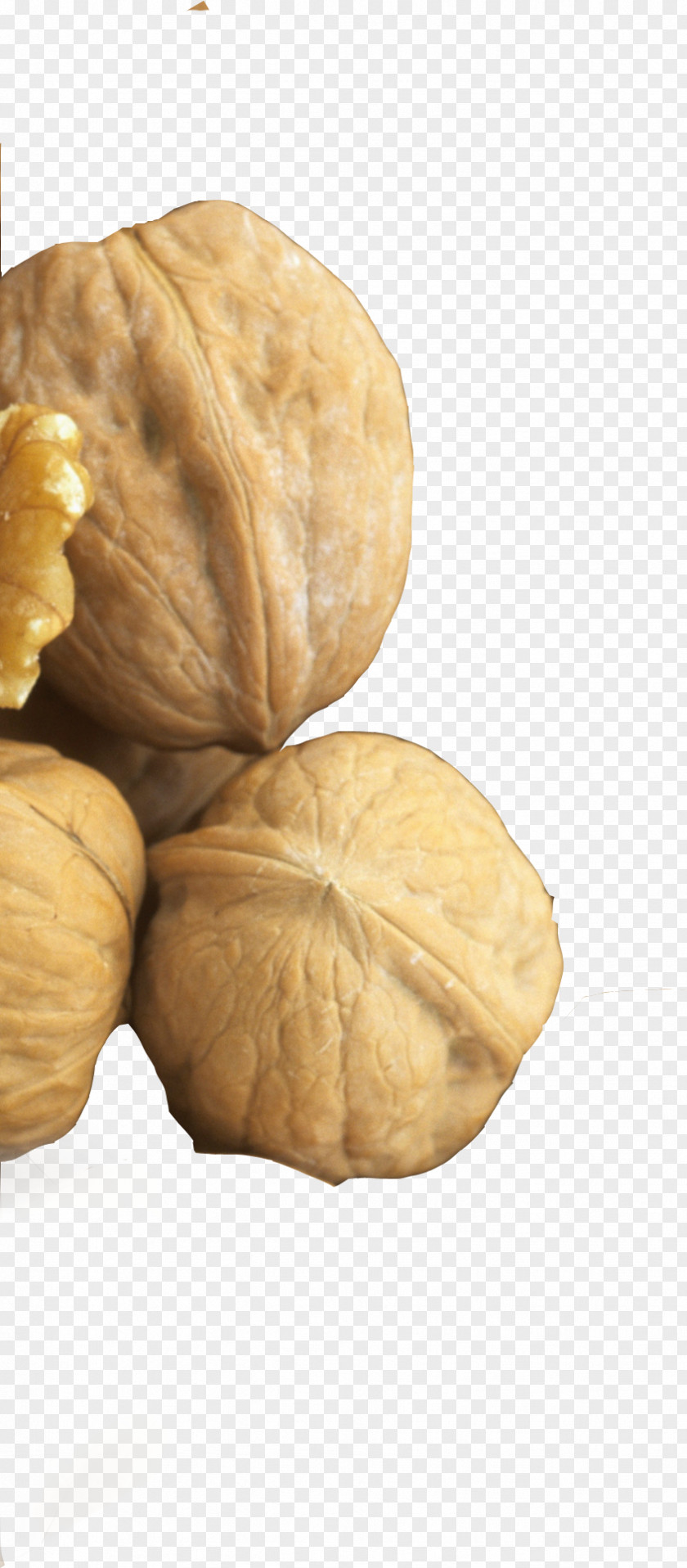 Walnut Five Grains Ingredient Food Whole Grain PNG