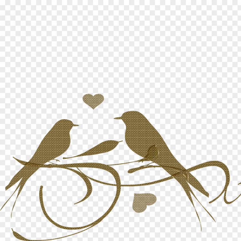 Clip Art Lovebird Free Content PNG