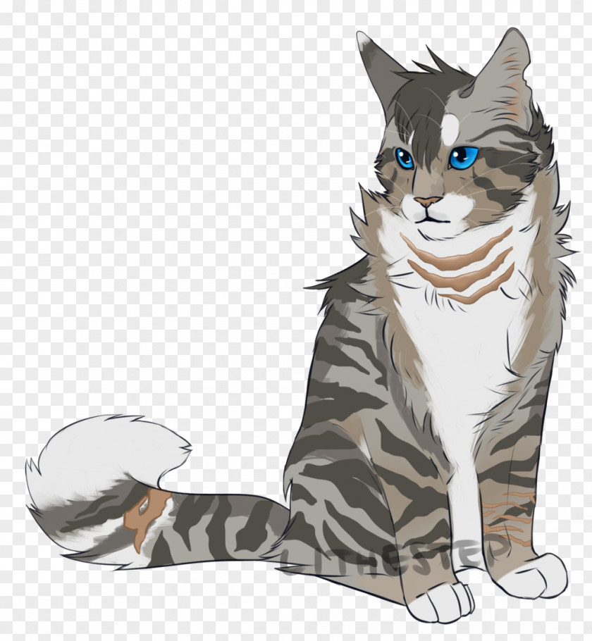 Lithe Wildcat Kitten Tabby Cat Whiskers PNG