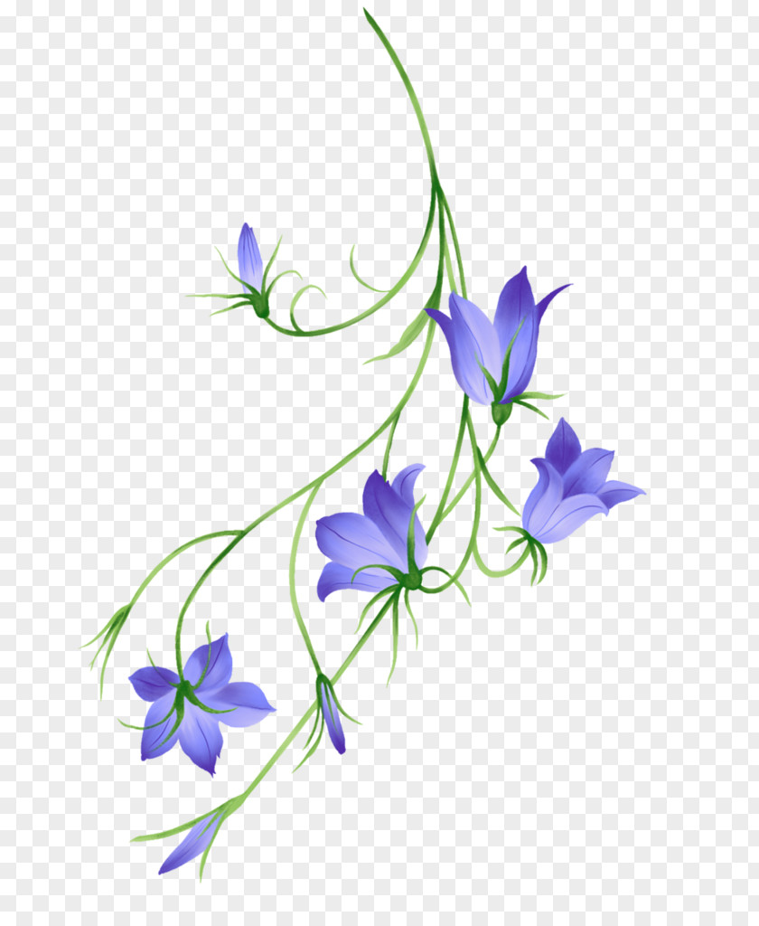 Monkshood Gentiana Watercolor Flower Background PNG