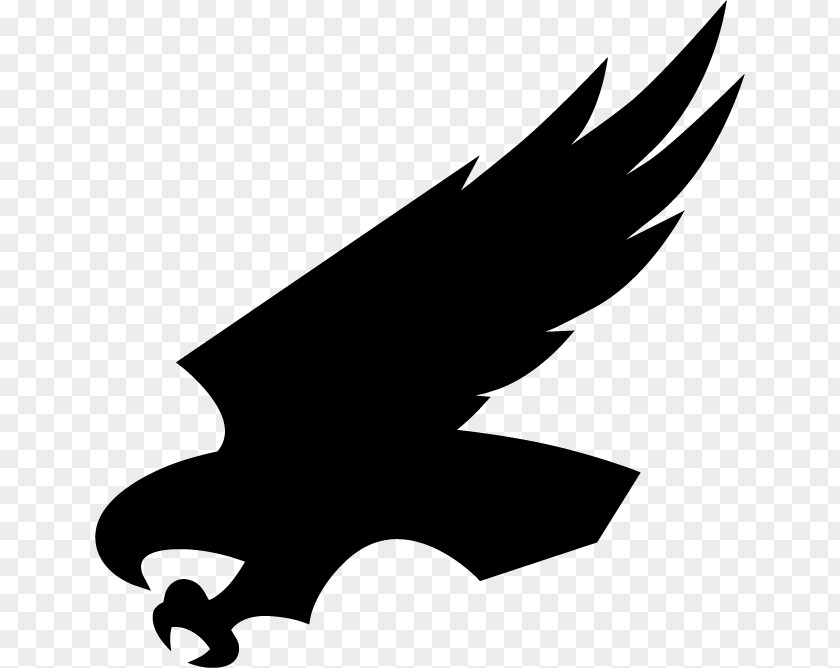 Eagle Clip Art Black Silhouette Beak PNG