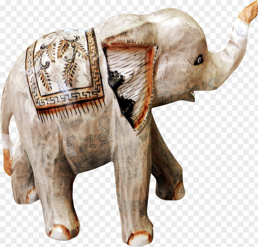 Elephant African Indian Animal PNG