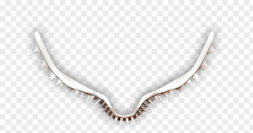 Necklace Jewellery Silver Chain PNG