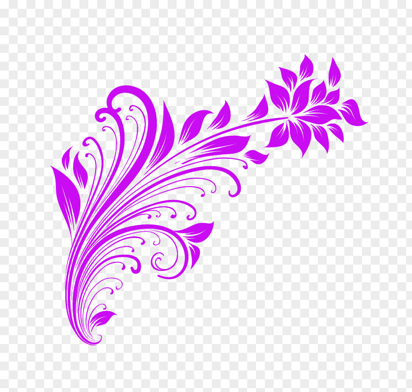 Purple Color Violet PNG