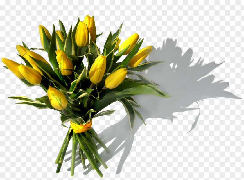 Tulip Floral Design Cut Flowers Flower Bouquet Birthday PNG