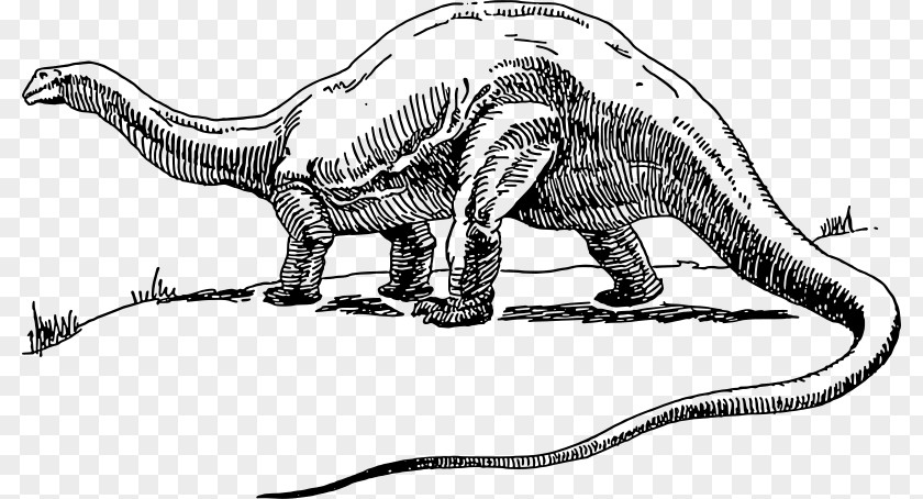 Dinosaur Apatosaurus Brontosaurus Tyrannosaurus Stegosaurus Triceratops PNG