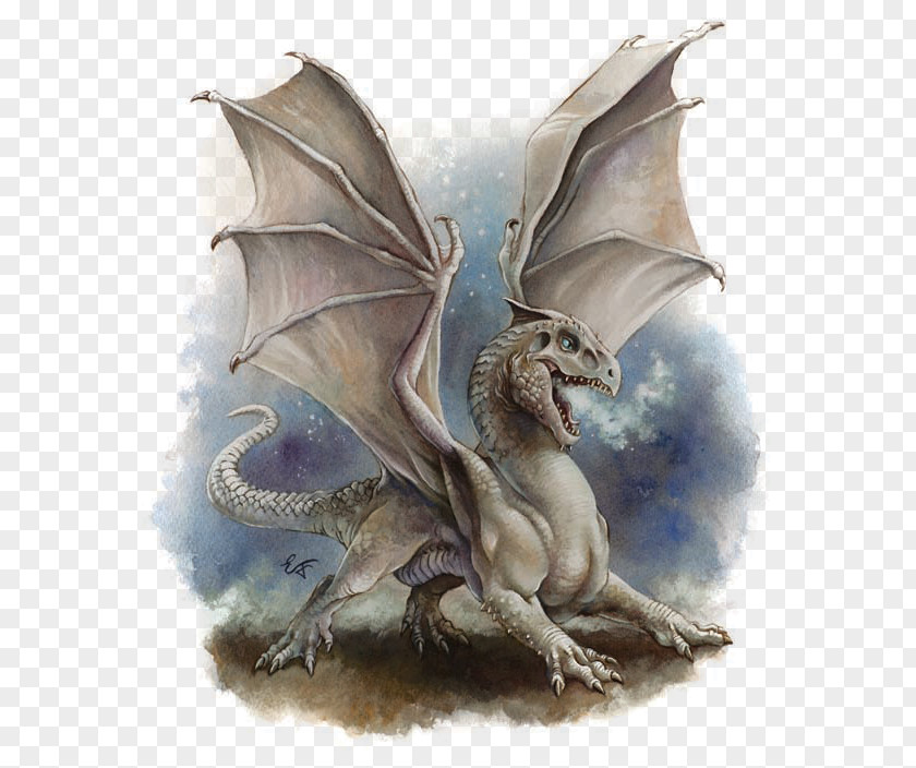 Dungeons And Dragons & White Dragon Lludd Llefelys Wyvern PNG