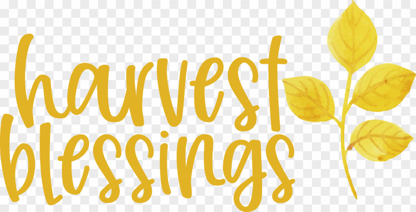 Harvest Autumn Thanksgiving PNG