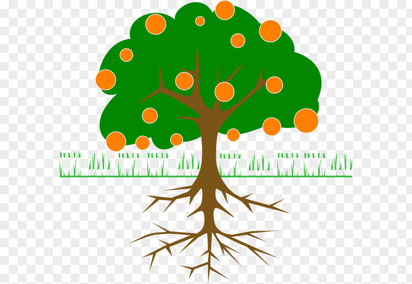 Orange Fruit Tree Root Branch Clip Art PNG