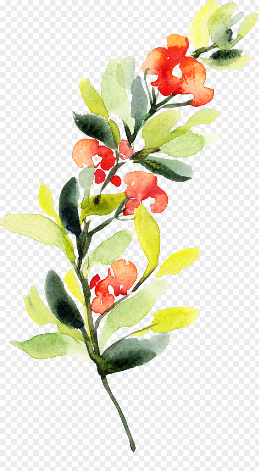 Watercolor Paint Petal Flower Plant Branch Flowering Leaf PNG