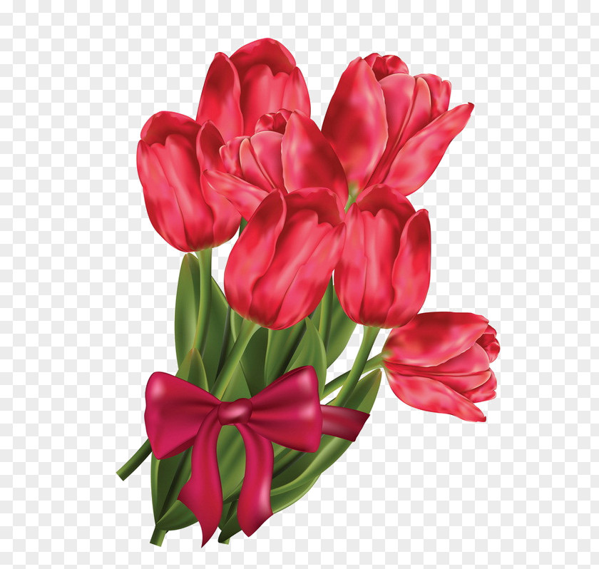 Campos De Tulipanes Rojos Flower Bouquet Stock Illustration Photography Vector Graphics PNG