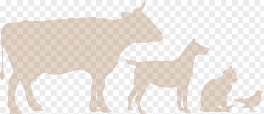Dairy Farm Cattle Deer Goat Sheep Dog PNG