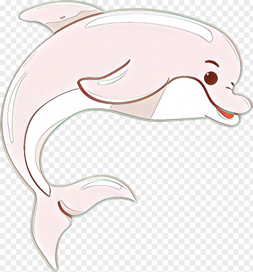 Dolphin Porpoise Illustration Clip Art Design PNG