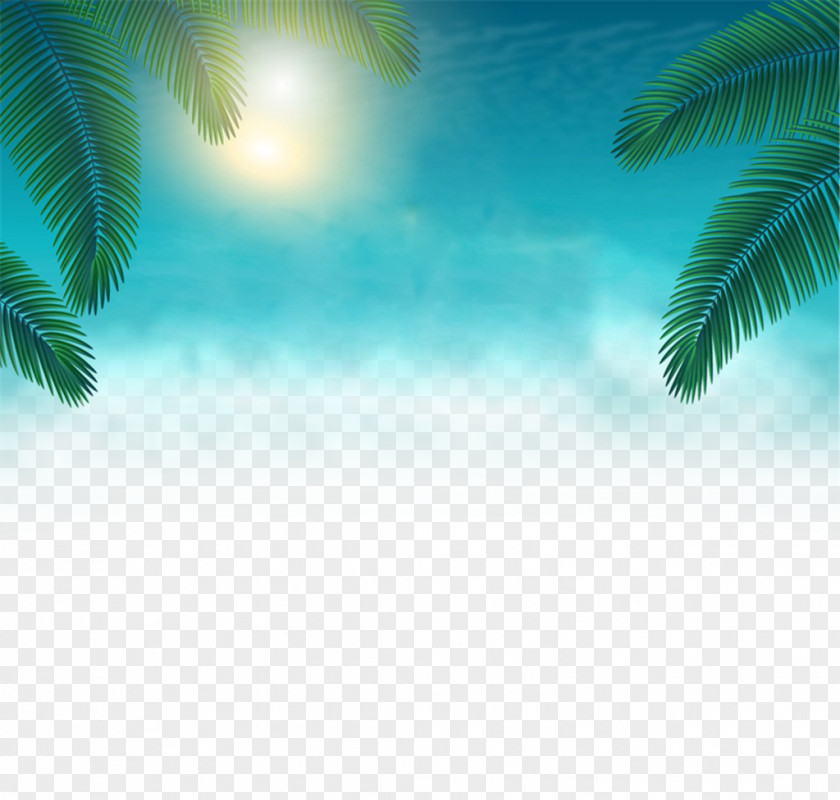 Summer Posters Decorative Elements Poster PNG