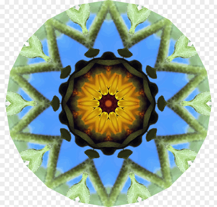 Sun Flower Kaleidoscope Symmetry Organism PNG