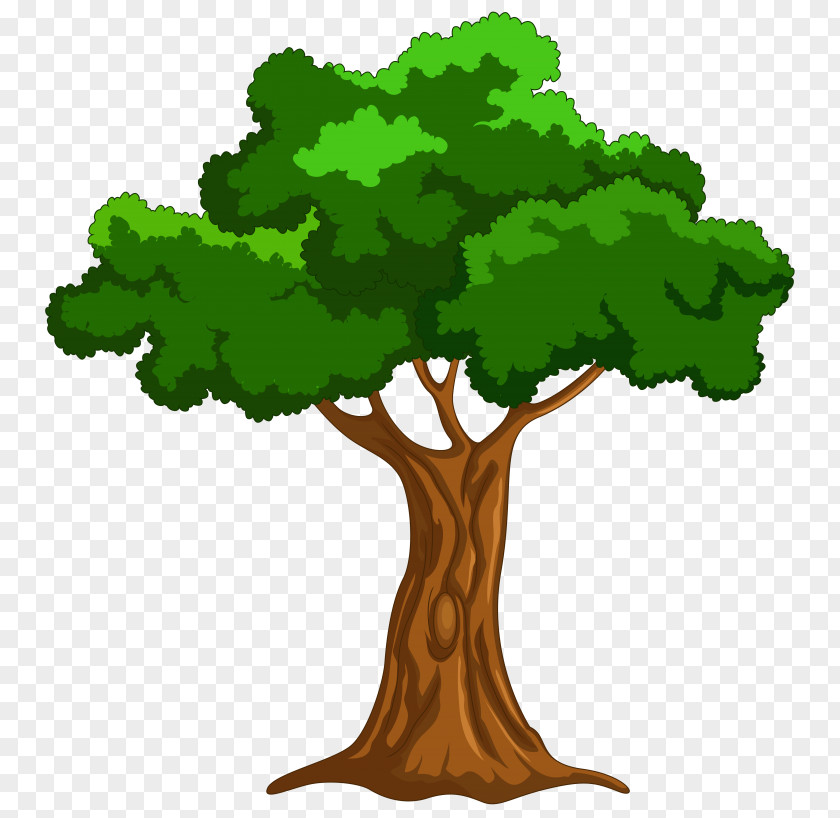 Tree Clip Art PNG