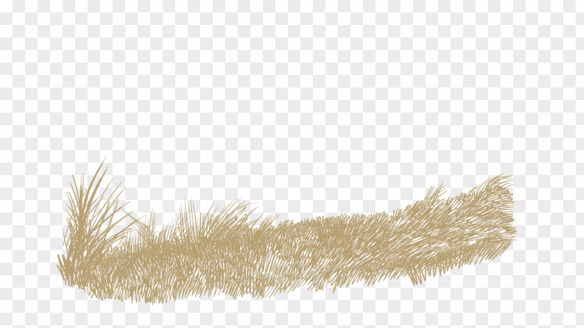 Wheat Spike Feather Fur Brown PNG