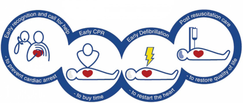 Cardiac Arrest Cliparts Cardiopulmonary Resuscitation Chain Of Survival Basic Life Support Automated External Defibrillators PNG