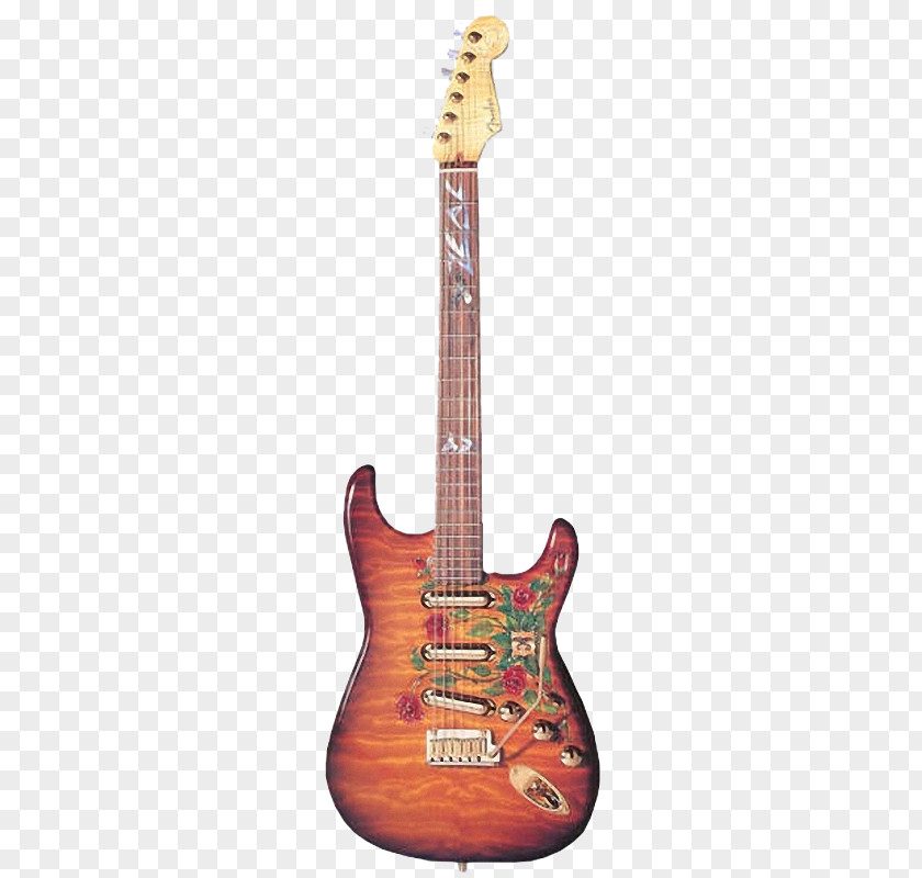Electric Guitar Classical Musical Instrument Acoustic PNG