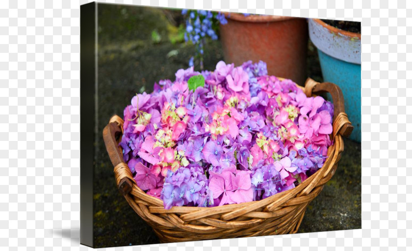Flower Hydrangea Cut Flowers Sales Floral Design PNG
