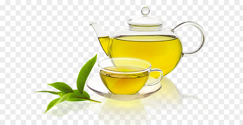 Green Tea Matcha Oolong Health PNG
