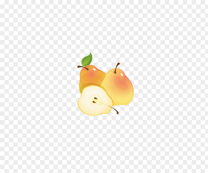 Hand Drawn Two And A Half Sydney Pear Fruit Clip Art PNG