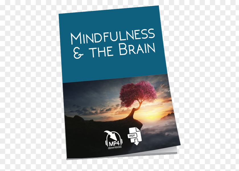 Mindful Advertising Text Conflagration E-book Just A Minute PNG