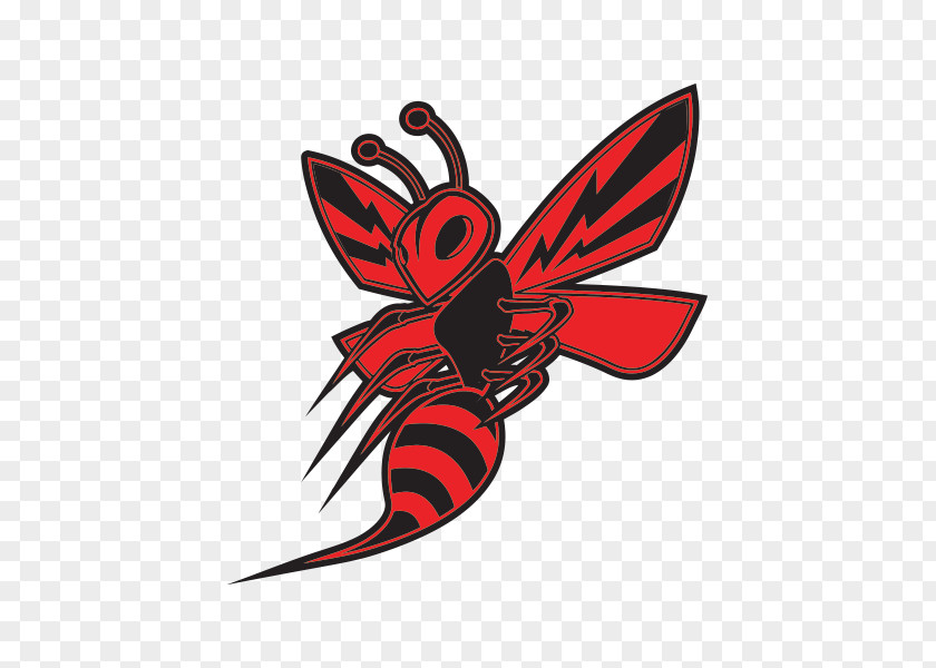 Wasp Hornet Bee Sticker Scooter Motorcycle PNG