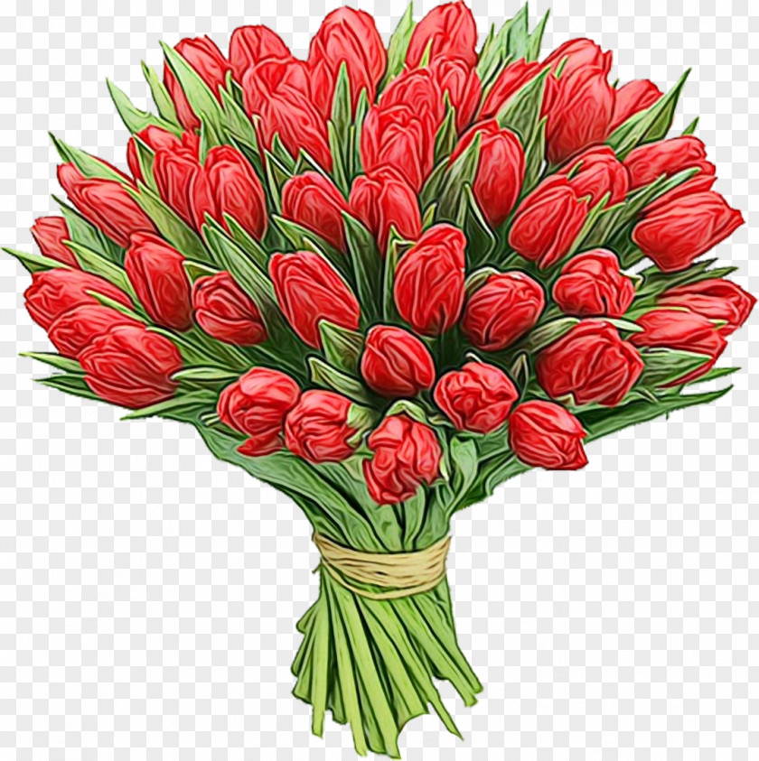 Flower Tulip Plant Cut Flowers Bouquet PNG