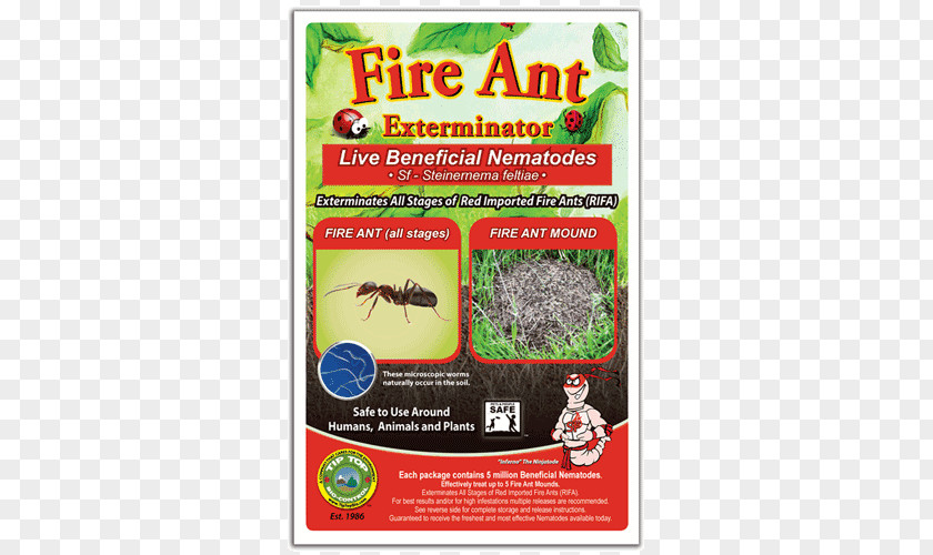 Insect Fire Ant Pest Control PNG