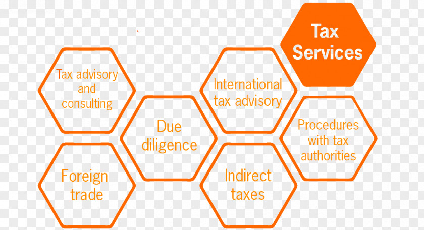 Transfer Pricing Price Ernst & Young Financial Transaction PNG