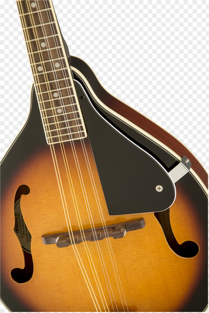 Acoustic Guitar Bass Cuatro Tiple PNG