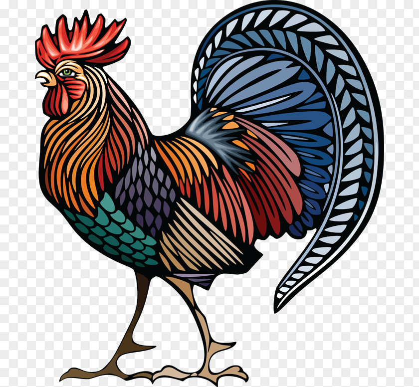 Chicken Rooster Stock Illustration Drawing PNG