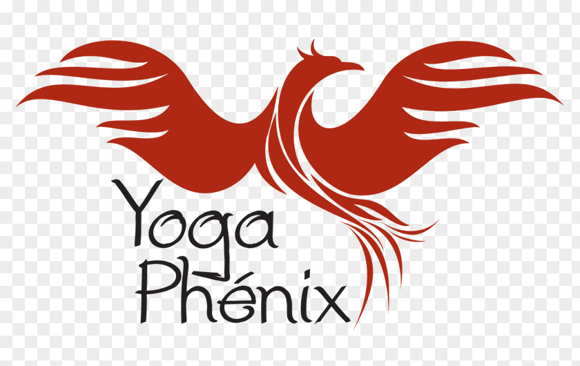 Flaming Phenix Rooster Logo Chicken Illustration Graphic Design PNG