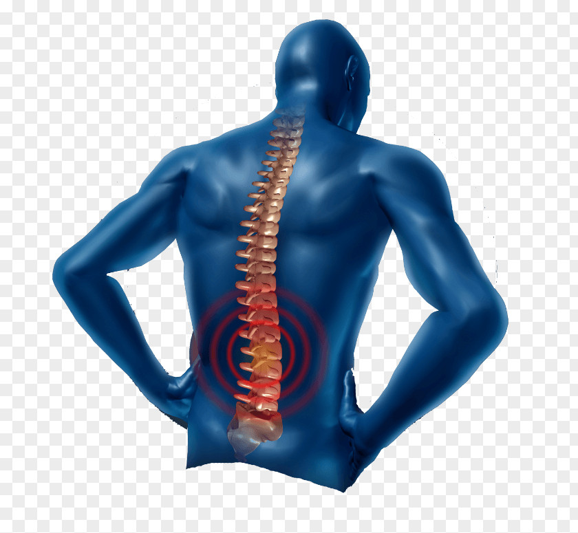 Human Low Back Pain Neck Physical Therapy Management PNG