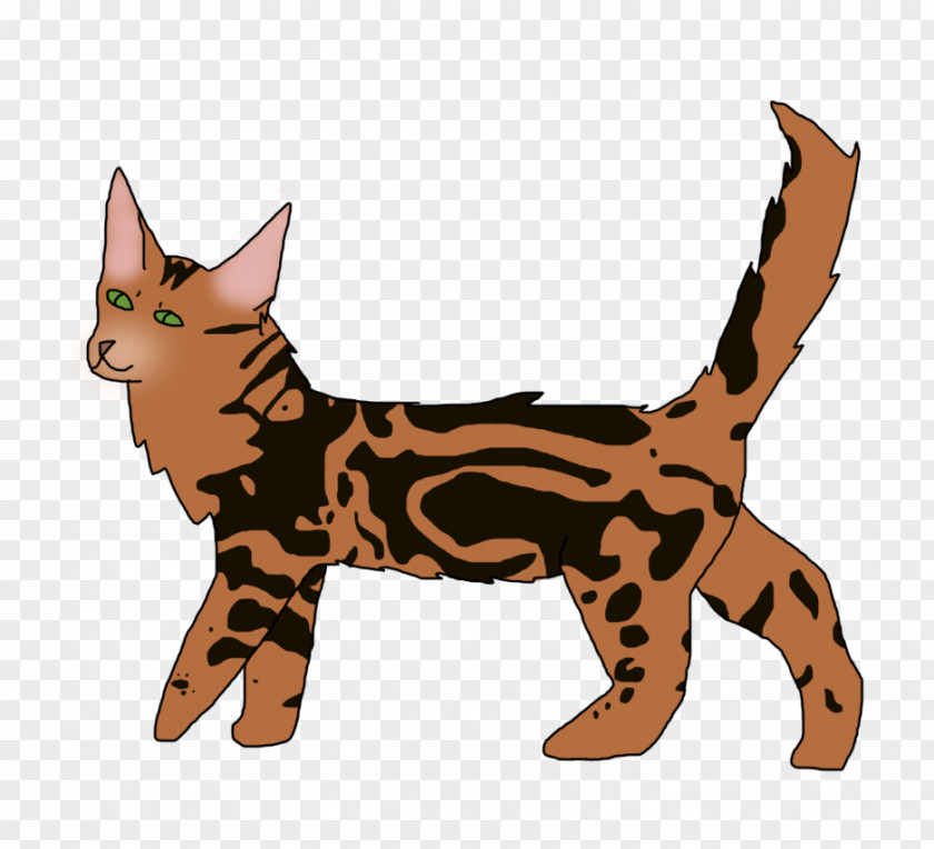 Kitten Whiskers Wildcat Dog PNG