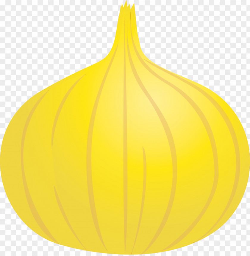 Leaf Squash Yellow Fruit Plants PNG