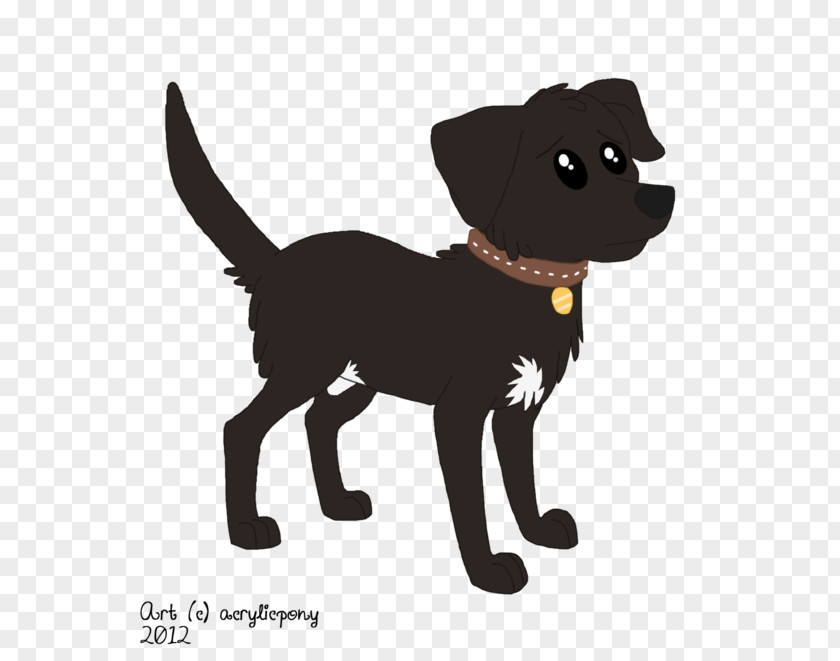 Lucky Dog Pony Cat Pet Puppy PNG