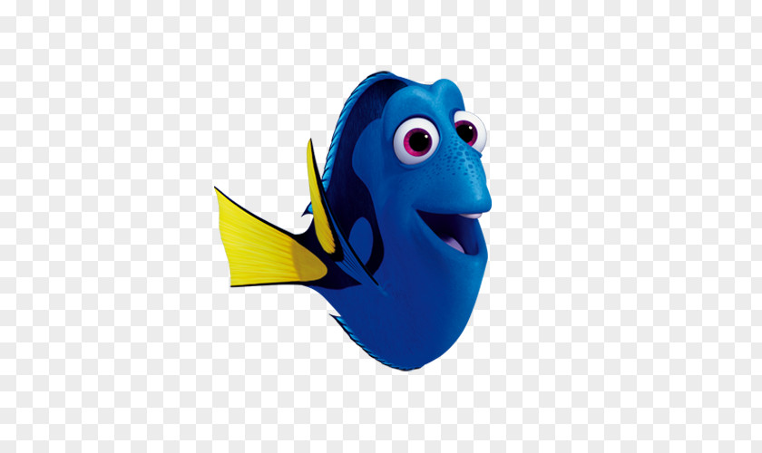 Nemo Marlin Character Pixar Film Palette Surgeonfish PNG