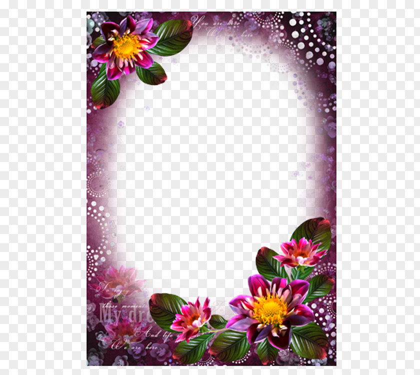 Picture Frames Photography Colorful Flowers PNG