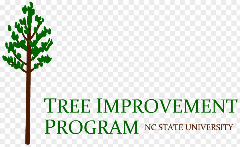 Points NCSU Tree Improvement Cooperative Logo Forest Branch PNG