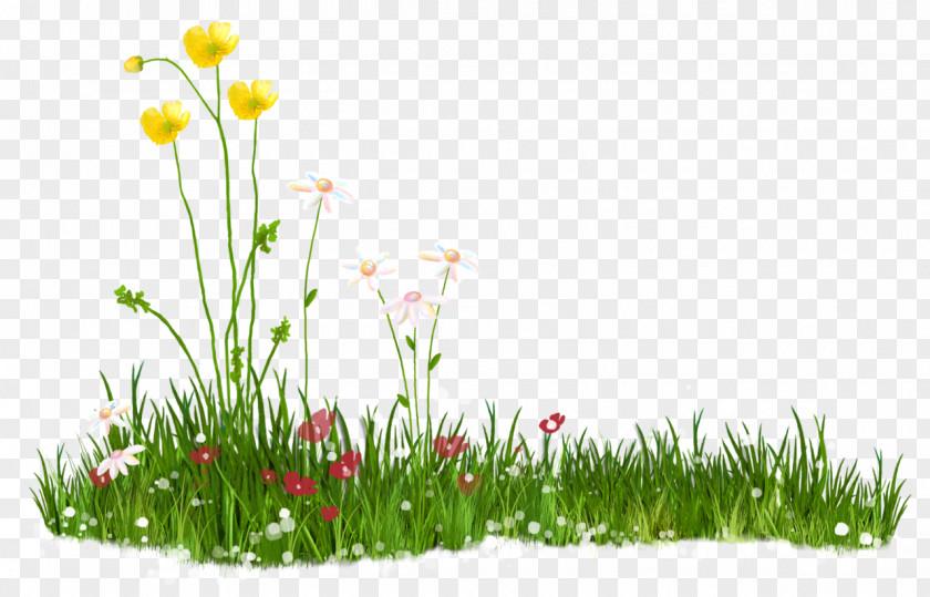 Spring Download Preview Clip Art PNG