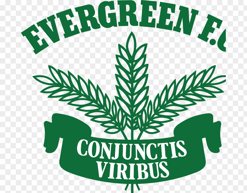 Train Evergreen Football & Social Club Track Tree Eveready Hire PNG