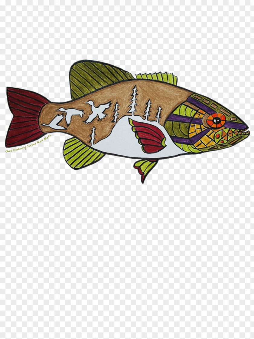 Bass Watercolor Illustration Graphics Fish PNG