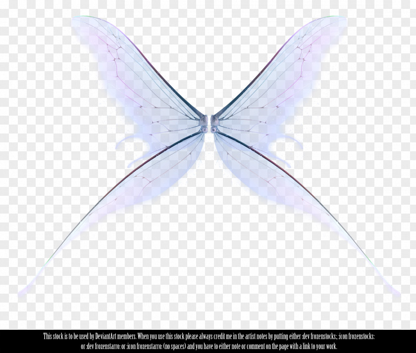 Fairy Angel Information PNG